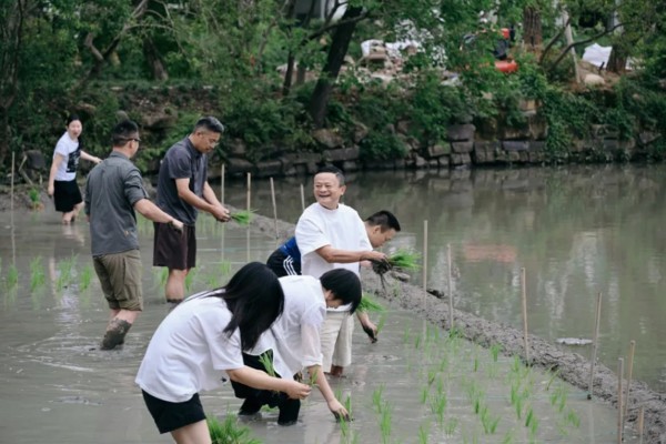 Jack Ma and Alibaba executives gather at the rice-planting team-building event. Photo: Handout Jack Ma and Alibaba executives gather at the rice-planting team-building event. Photo: Handout