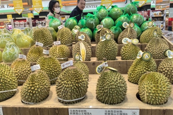 Musang King durians from Malaysia are displayed for sale at a supermarket in Beijing, China. Photo: Simon Song Musang King durians from Malaysia are displayed for sale at a supermarket in Beijing, China. Photo: Simon Song