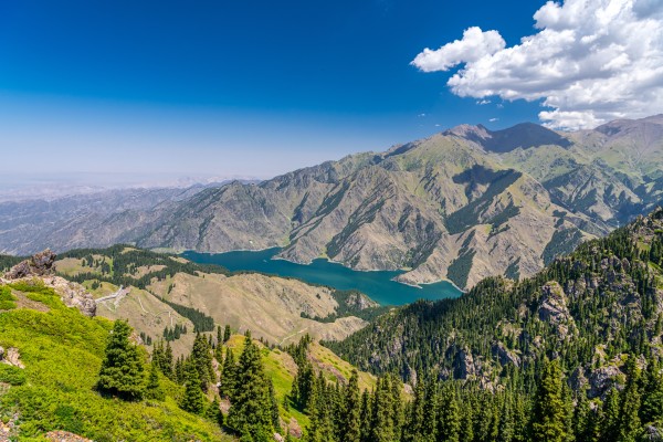 The plant in question can be found at the foot of the Tianshan Mountains in China’s Xinjiang Uygur autonomous region. Photo: Getty Images