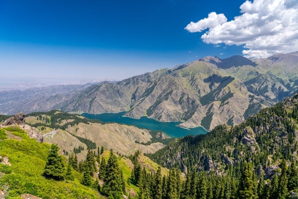 The plant in question can be found at the foot of the Tianshan Mountains in China’s Xinjiang Uygur autonomous region. Photo: Getty Images The plant in question can be found at the foot of the Tianshan Mountains in China’s Xinjiang Uygur autonomous region. Photo: Getty Images