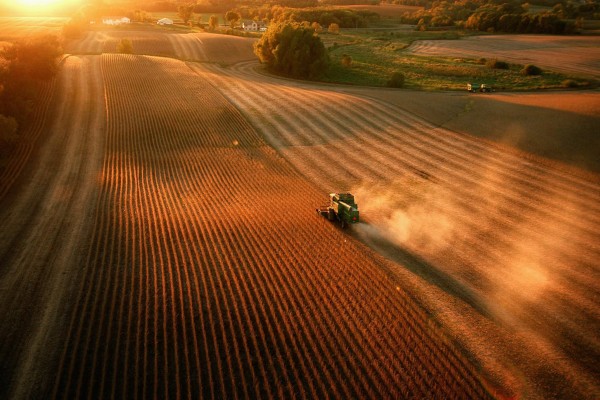 A farmer harvests soybeans in Faribault, Minnesota, in May 2025. Photo: TNS