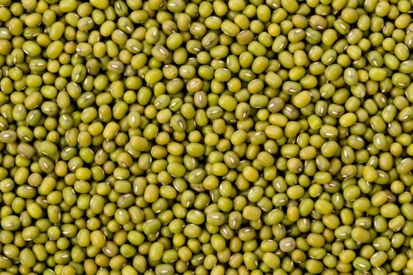 China is the largest importer of mung beans. Photo: Shutterstock China is the largest importer of mung beans. Photo: Shutterstock