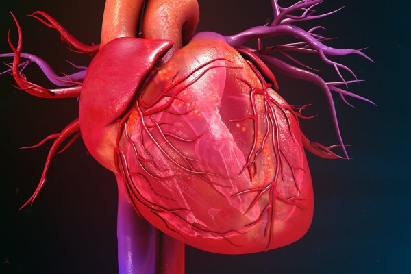 Patients with severe heart failure may experience shortness of breath after walking just a few steps, the inability to lie flat and sleep at night, and frequent hospital visits. Photo: Shutterstock Patients with severe heart failure may experience shortness of breath after walking just a few steps, the inability to lie flat and sleep at night, and frequent hospital visits. Photo: Shutterstock