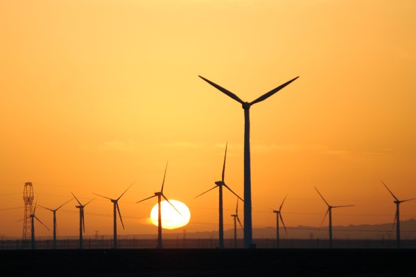 Wind turbines in Guazhou county, Gansu province. Photo: Xinhua