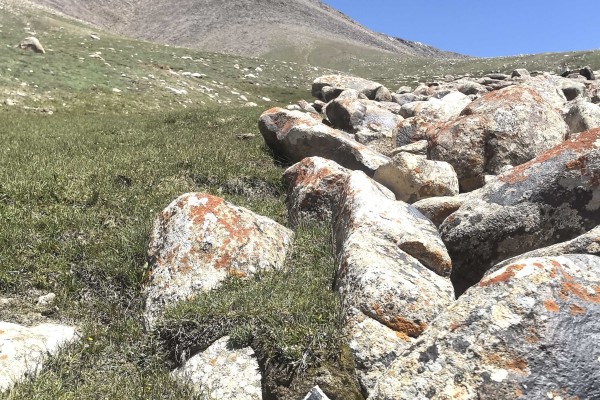 Lichen on rocks in the West Kunlun Mountains, southwest of China's Xinjiang Uygur autonomous region. Photo: Li Yang and team