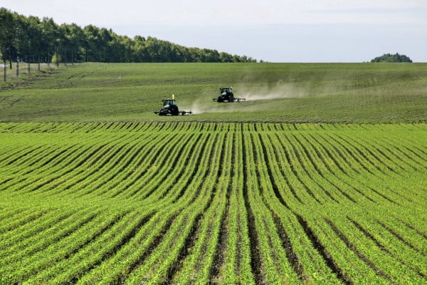 Farmers operate BeiDou-equipped agricultural machinery in a soybean field in northeastern China’s Heilongjiang province in June. Photo: Xinhua Farmers operate BeiDou-equipped agricultural machinery in a soybean field in northeastern China’s Heilongjiang province in June. Photo: Xinhua