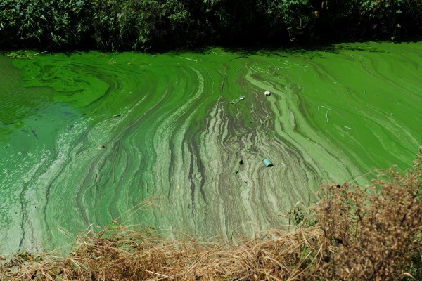 Responsibility for environmental health will follow officials throughout their careers and into retirement. Photo: AFP Responsibility for environmental health will follow officials throughout their careers and into retirement. Photo: AFP