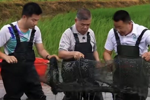 Malaysian Agriculture and Food Security Minister Mohamad Sabu (centre) visits a rice-prawn farm in the city of Wuhu in China’s eastern Anhui province in August. Photo: Facebook/Mohamad Sabu