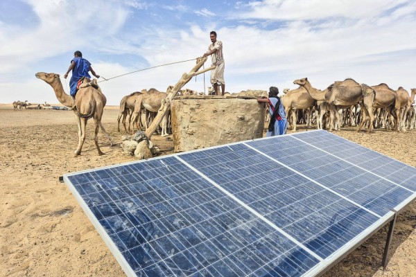 Wells and watts: a day in the life of a 21st-century camel herder in Tagourant, Mauritania. Photo: Getty Images