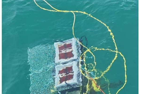 Submerged array is able to charge batteries and power a LED panel, proving that solar energy can be harvested even in the dim, blue-green twilight of the ocean. Photo: Handout Submerged array is able to charge batteries and power a LED panel, proving that solar energy can be harvested even in the dim, blue-green twilight of the ocean. Photo: Handout