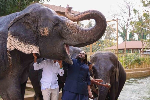 Anant Ambani (right) at the Vantara wildlife centre in India. Photo: Handout Anant Ambani (right) at the Vantara wildlife centre in India. Photo: Handout