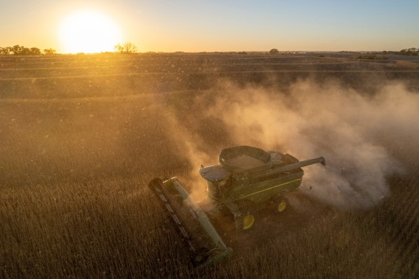 A soybean field in Lincoln, Nebraska. US soybeans were excluded from a tariff-reduction list jointly issued by China's commerce ministry and the White House. Photo: AP
