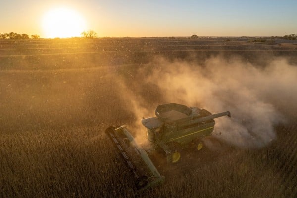 A soybean field in Lincoln, Nebraska. US soybeans were excluded from a tariff-reduction list jointly issued by China's commerce ministry and the White House. Photo: AP
A soybean field in Lincoln, Nebraska. US soybeans were excluded from a tariff-reduction list jointly issued by China's commerce ministry and the White House. Photo: AP