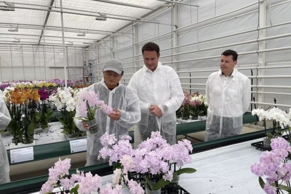 Jack Ma visiting a research institution in the Netherlands, where greenhouse technology was on display, on 25 October 2021. Photo: Handout.