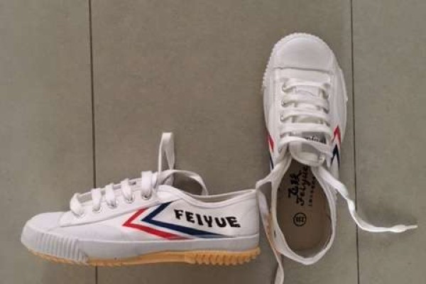 Feiyue Shoe Review (unbagging) 