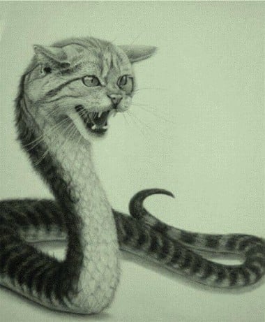 13 Reasons Why Cats Are Just Plain Evil Yp South China Morning Post 13 Reasons Why Cats Are Just Plain Evil Yp South China Morning Post
