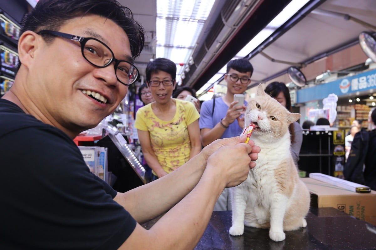 Brother Cream with his owner Bee Ko Chee-shing at their convenience store in Tsim Sha Tsui East.