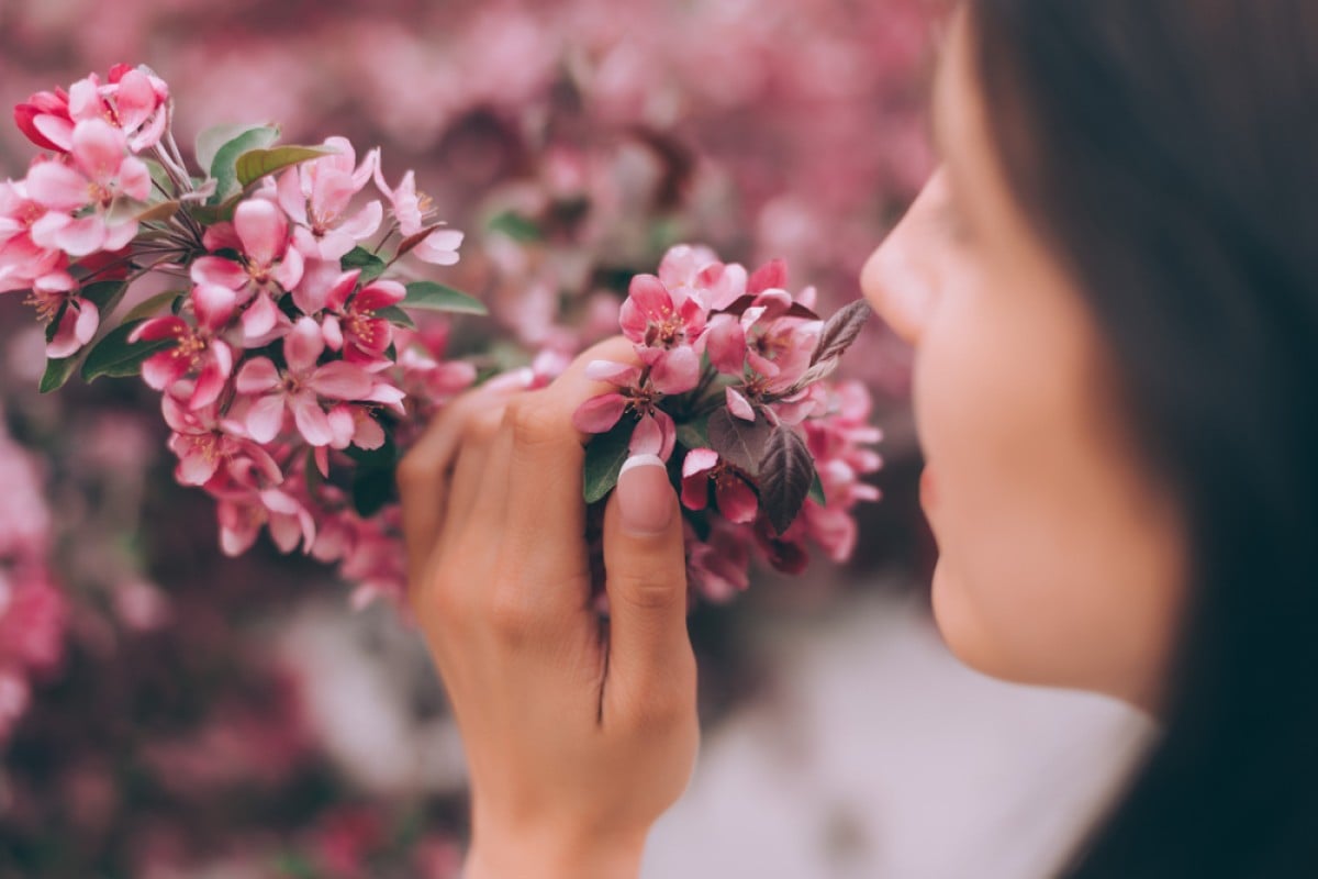 Learn English words about smells and aromas.