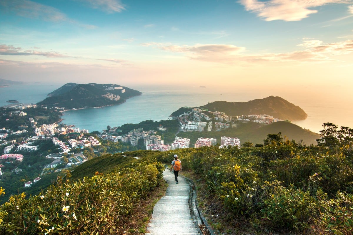 Hong Kong is famous for its gorgeous hiking trails ... but be careful you don't run into one of these dangerous animals on the way!