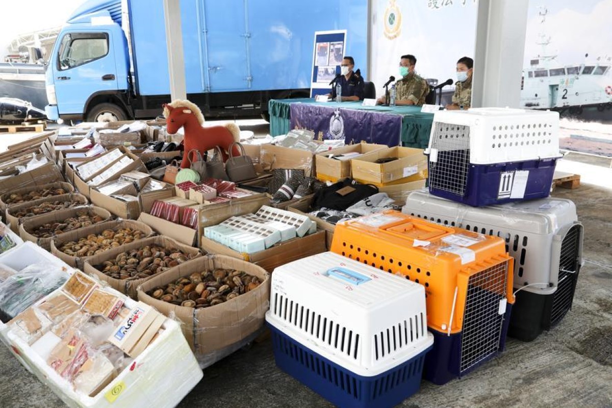 Hong Kong law enforcement seized 12 dogs and HK$37 million in goods during an anti-smuggling operation late last week. Photo: SCMP/ Edmond So