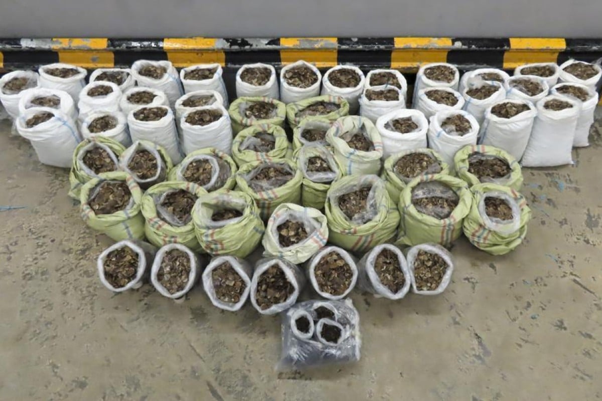 Hong Kong’s biggest seizure of pangolin scales so far this year was made this month. Photo: Handout