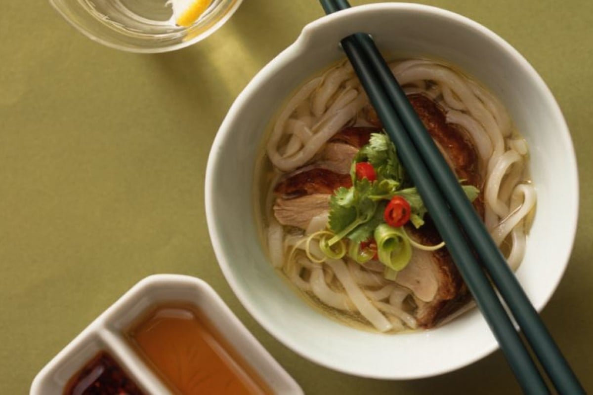 Chinese duck soup with noodles - recipe | SCMP Cooking