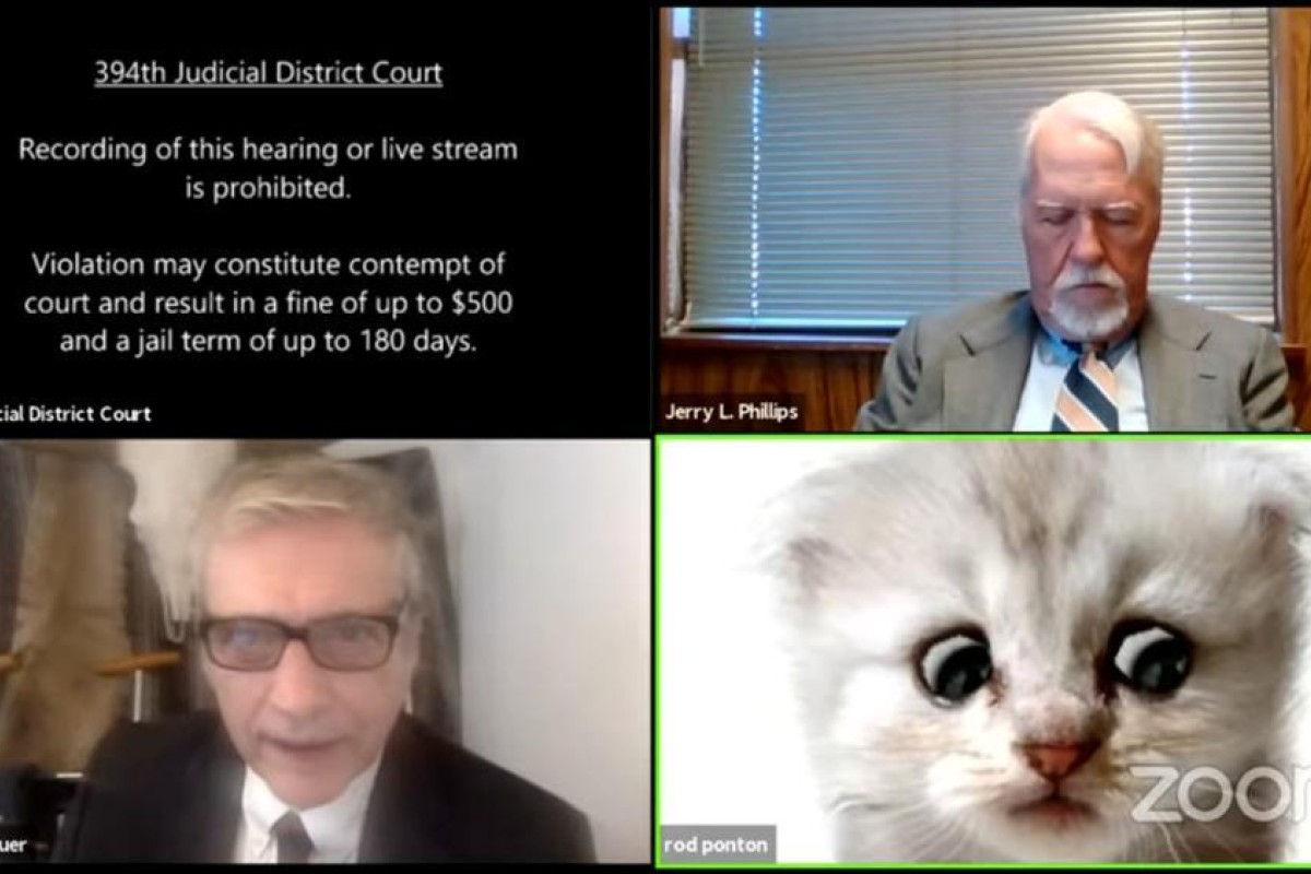Lawyer Rod Ponton appears with a kitten filter turned on during a virtual hearing of the 394th District Court of Texas on Tuesday. Image: Judge Roy Ferguson via Reuters