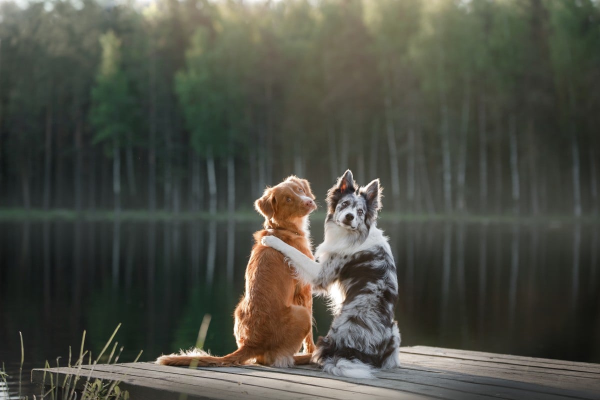 Where did you meet your best friend, and what do you do together?