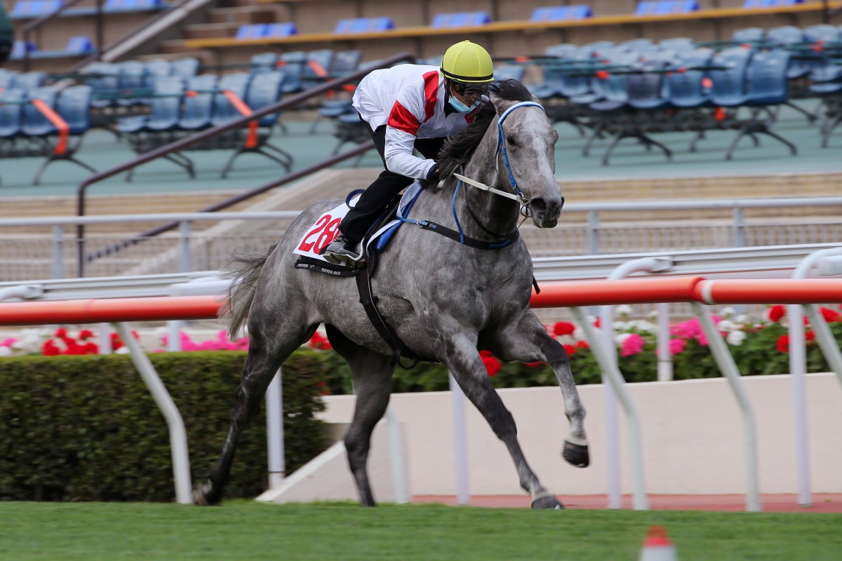 Zac Purton trials Classique Legend for the first time at Sha Tin on Tuesday morning. Photos: Kenneth Chan