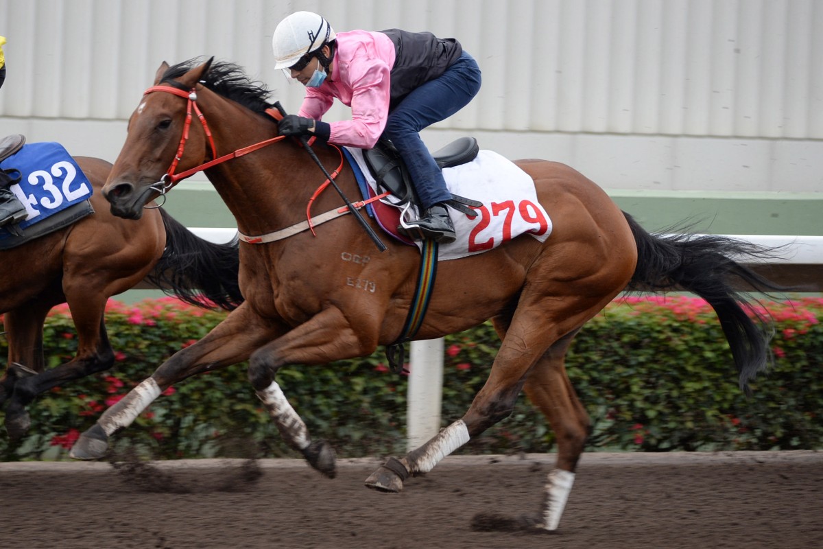Beauty Fit trials at Sha Tin earlier this month. Photos: Kenneth Chan
