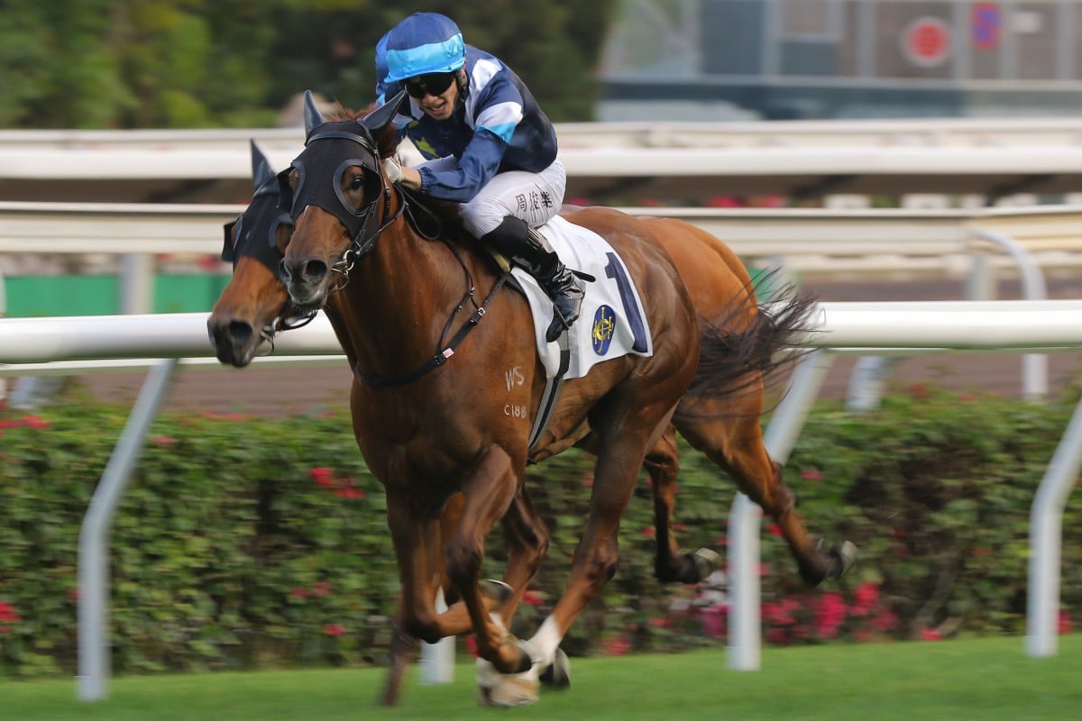 Jerry Chau punches Duke Wai out to victory at Sha Tin on Sunday. Photos: Kenneth Chan 