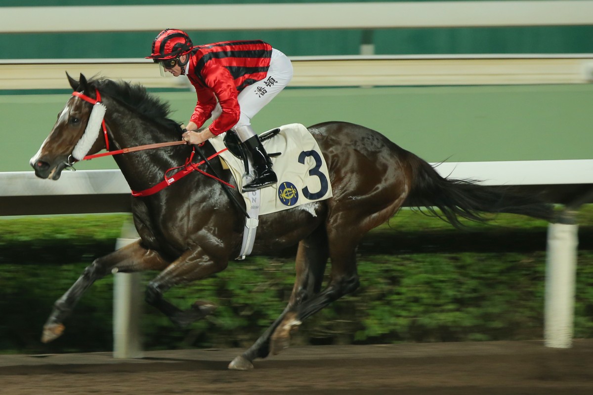 Zac Purton guides Kings Shield to victory at Sha Tin in November. Photos: Kenneth Chan