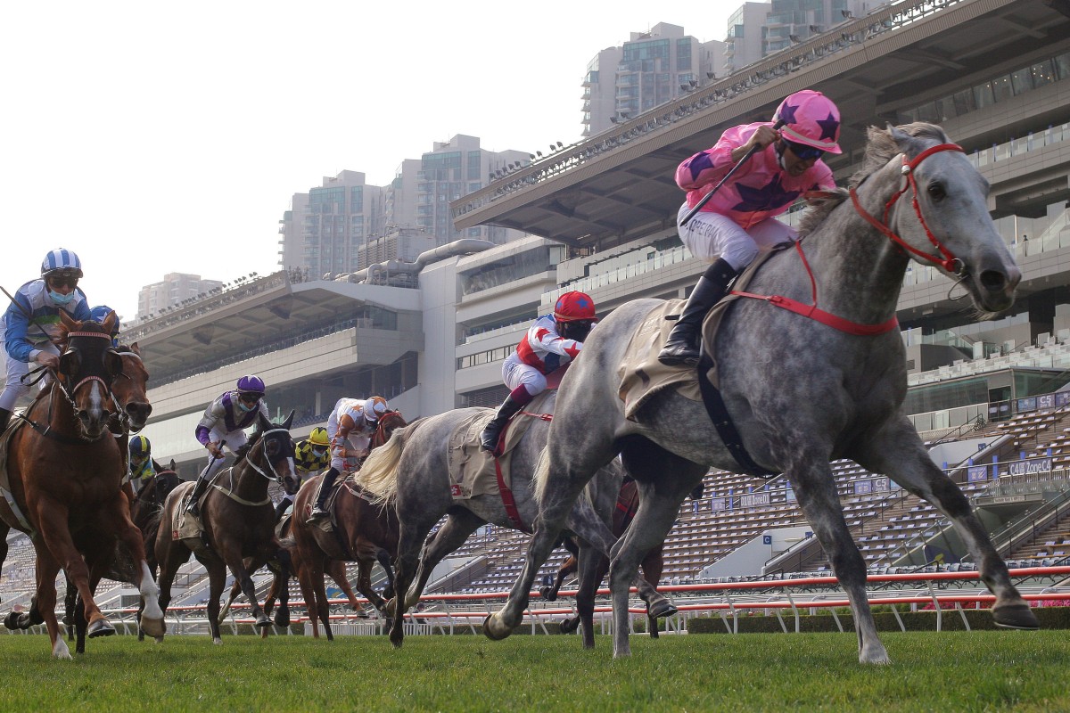 Joao Moreira guides Hot King Prawn to victory in the Group One Centenary Sprint Cup. Photo: Kenneth Chan