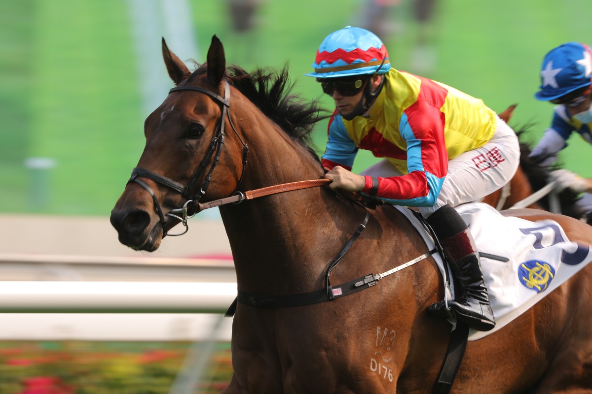 Alexis Badel guides Wellington to victory at Sha Tin last start. Photos: Kenneth Chan