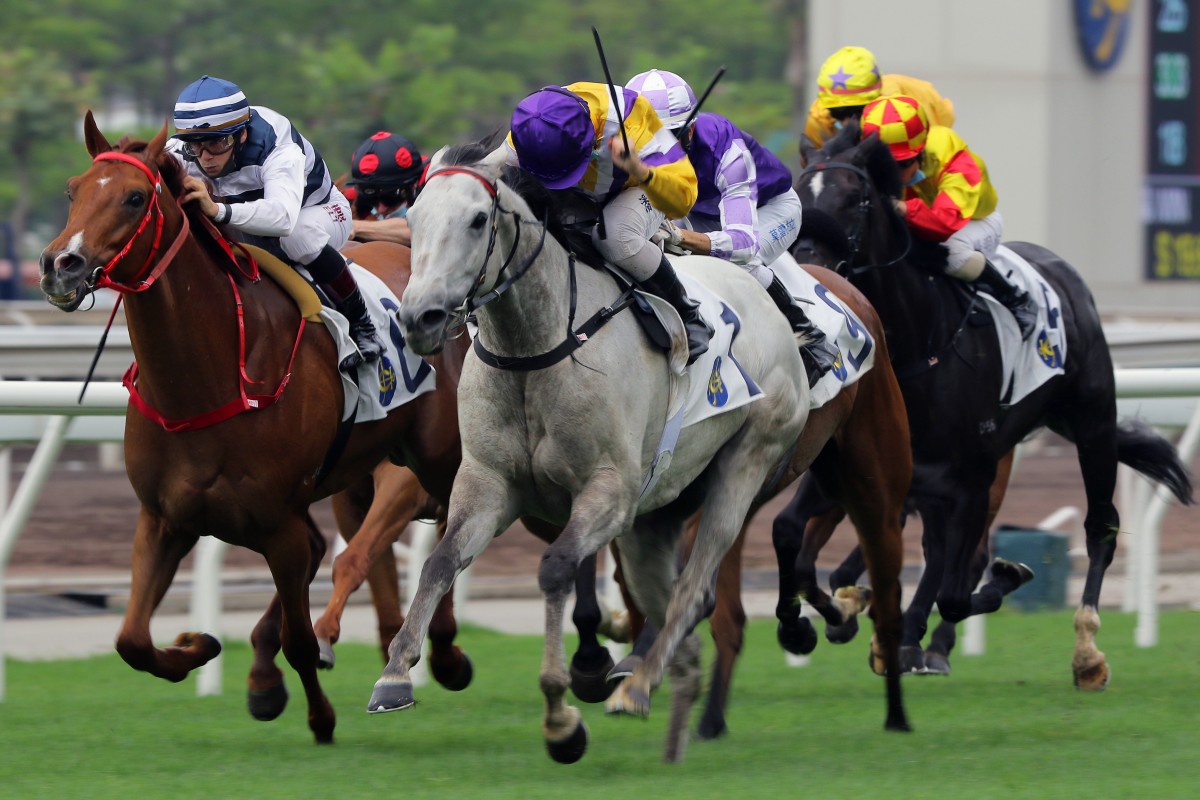 Matthew Poon urges Glorious Dragon to victory at Sha Tin on Monday. Photos: Kenneth Chan