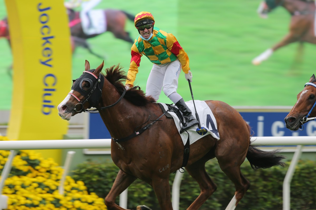 Neil Callan celebrates with gusto after winning aboard Mighty Giant at Sha Tin on Monday. Photos: Kenneth Chan