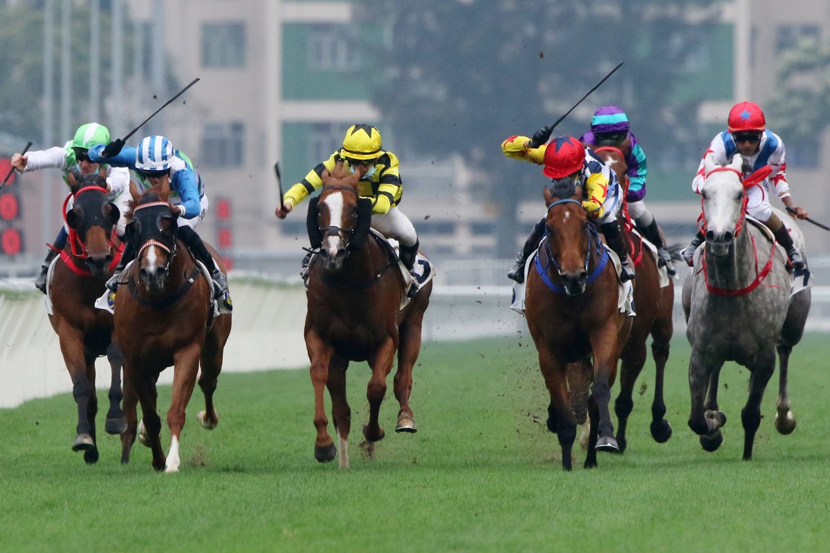 Amazing Star wins the Group Two Sprint Cup at Sha Tin on Monday. Photos: Kenneth Chan