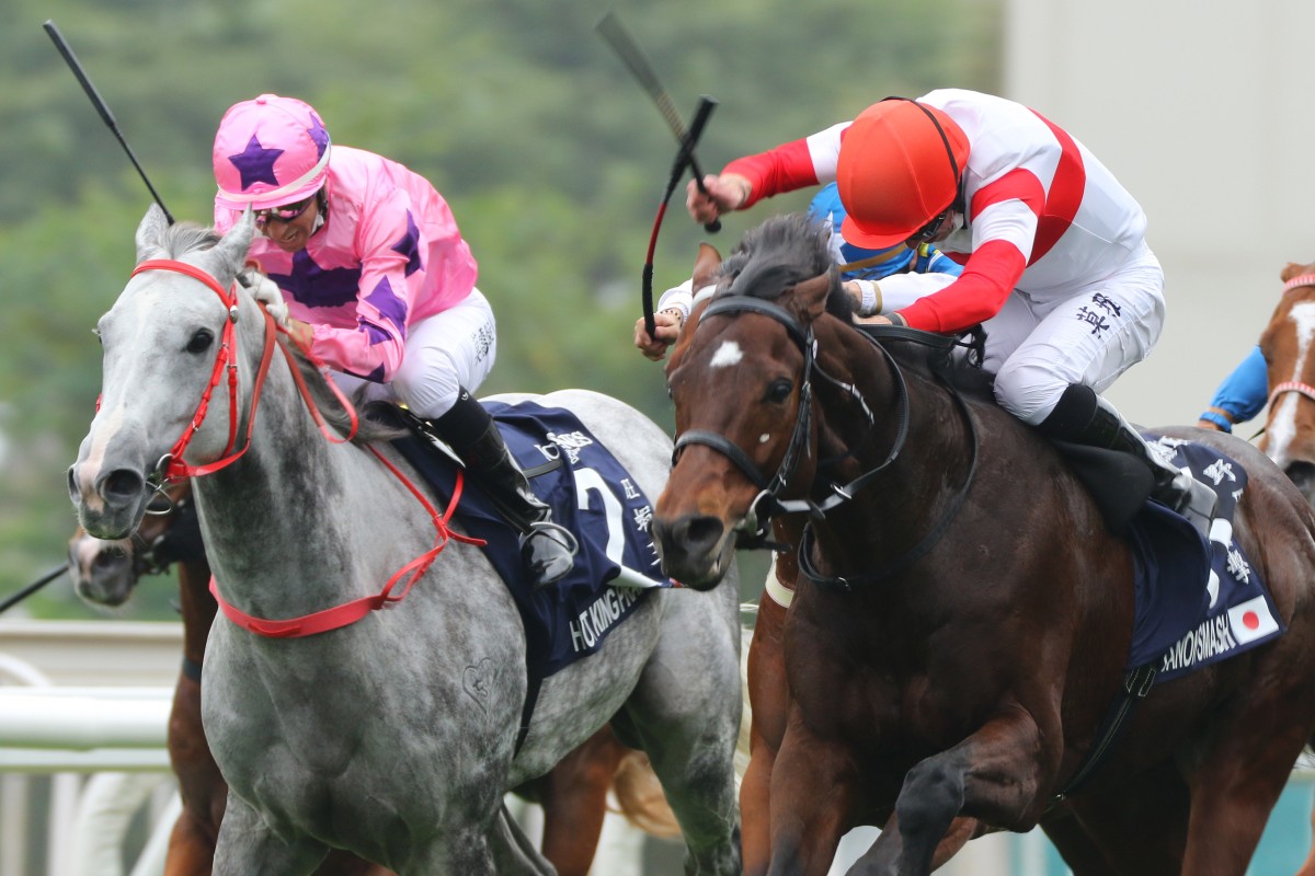Danon Smash is punched out to victory by Englishman Ryan Moore in December’s Hong Kong Sprint. Photos: Kenneth Chan