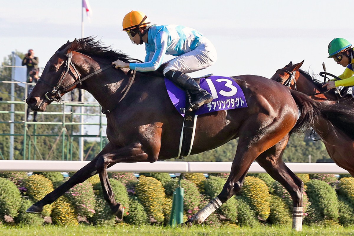 Daring Tact wins the Shuka Sho last year. Photo: JRA