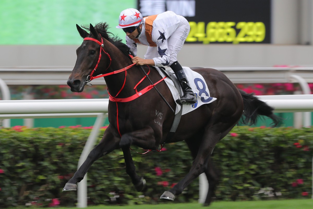 Courier Wonder coasts to victory at Sha Tin last start. Photos: Kenneth Chan