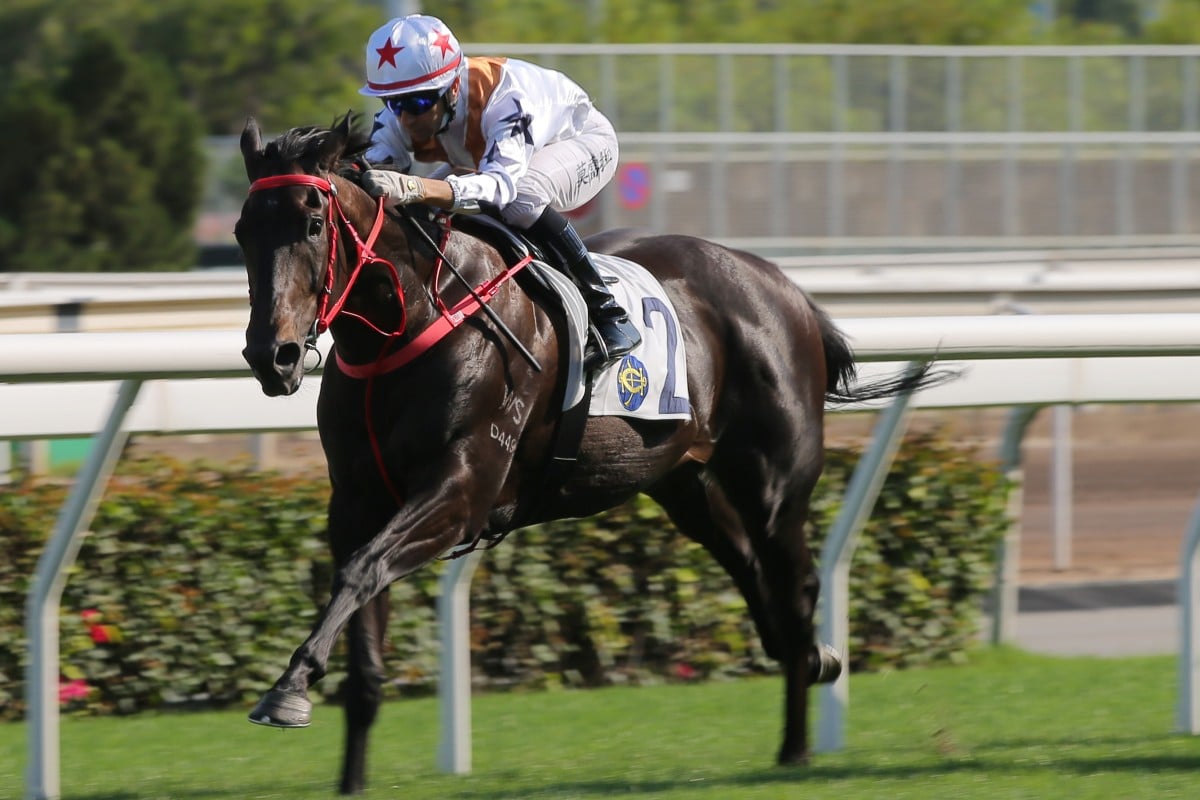 Joao Moreira guides Courier Wonder to victory at Sha Tin. Photos: Kenneth Chan 