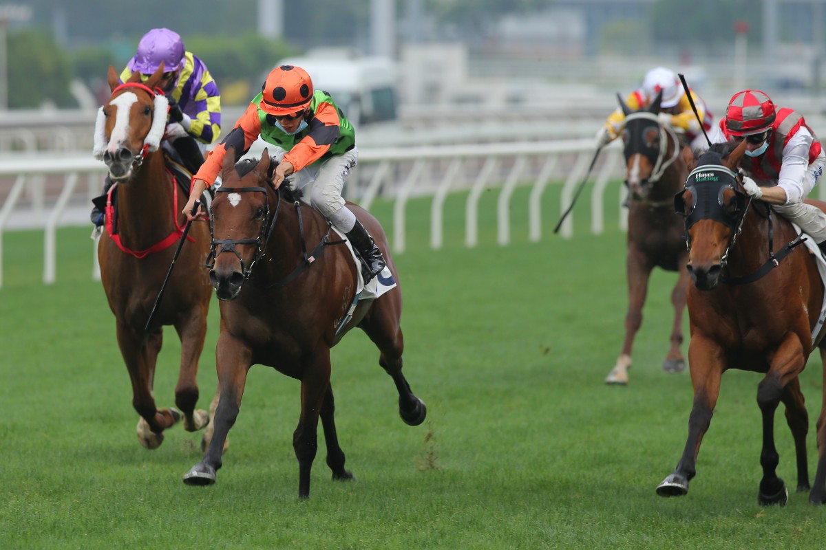 Vincent Ho goes for home on Carroll Street to win at Sha Tin on Saturday. Photos: Kenneth Chan 