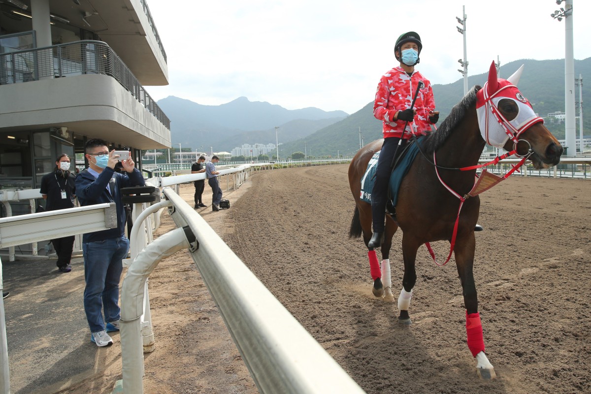 Loves Only You walks around at Sha Tin on Tuesday morning. Photos: Kenneth Chan