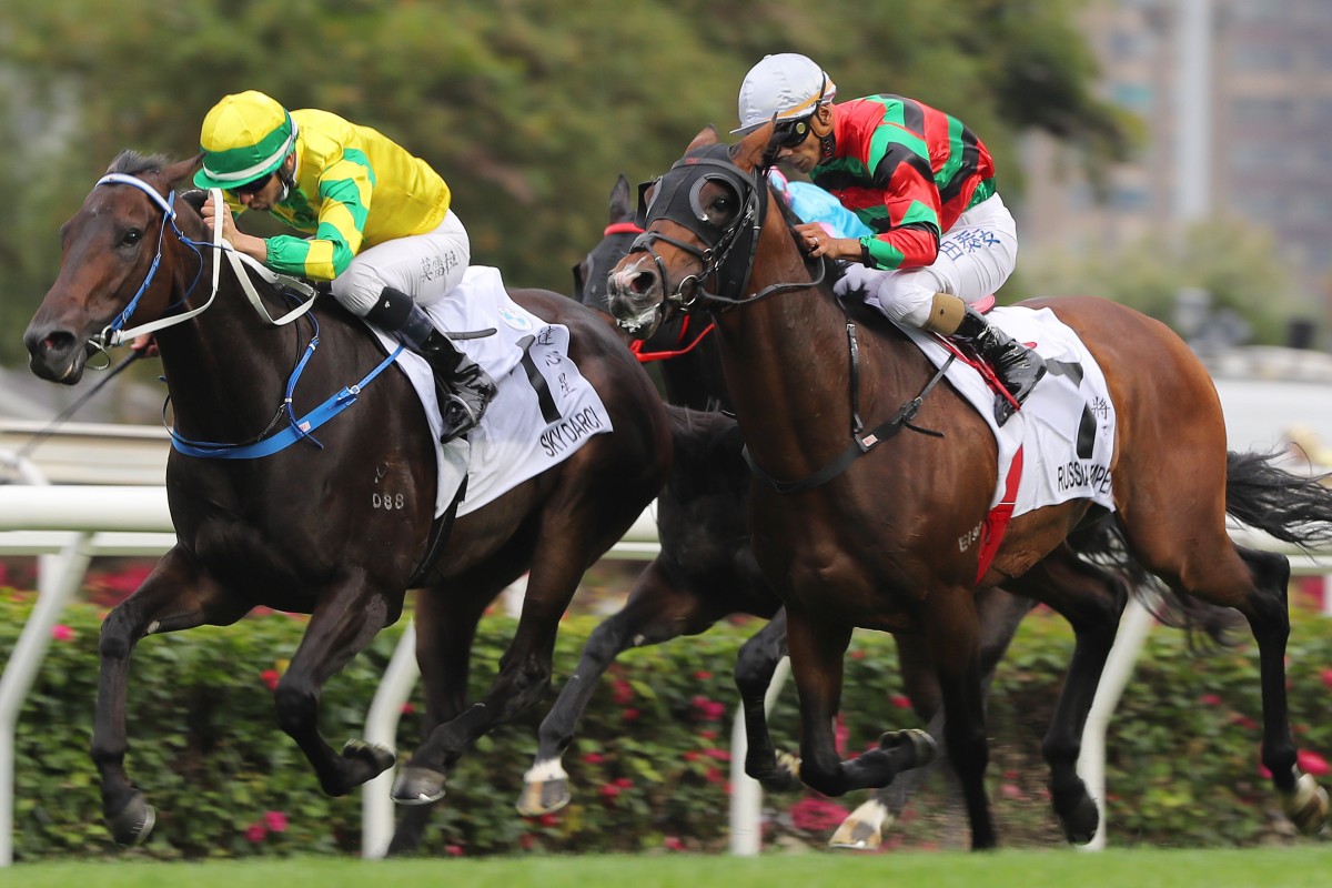 Russian Emperor (outside) is just beaten by Sky Darci in the Hong Kong Derby in March. Photos: Kenneth Chan 