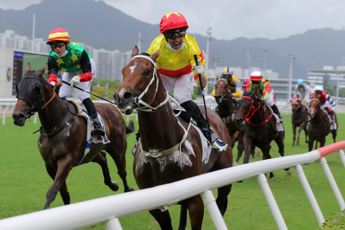 Neil Callan celebrates as California Spangle salutes on debut. Photos: Kenneth Chan.