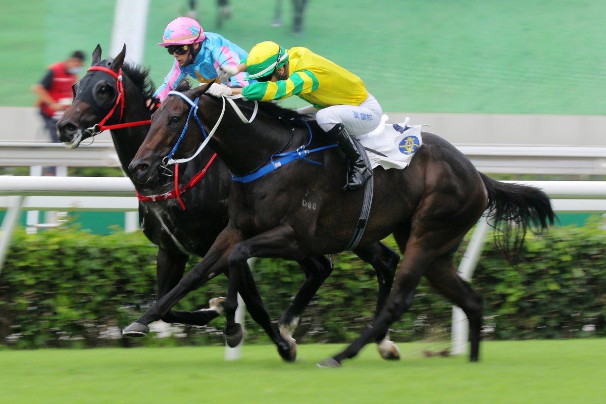 Sky Darci (outside) pips Healthy Happy in the Lion Rock Trophy last month. Photos: Kenneth Chan