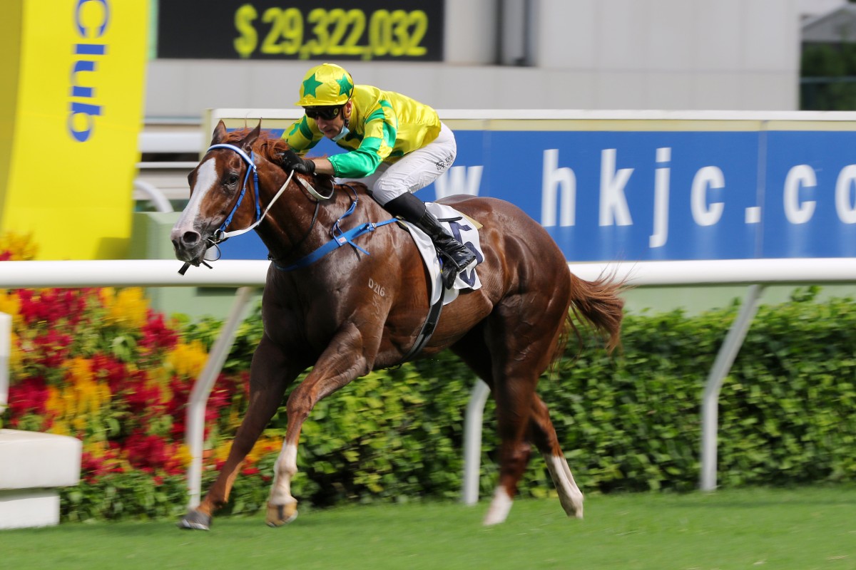 Blake Shinn boots Sky Field home to win the Premier Cup. Photos: Kenneth Chan