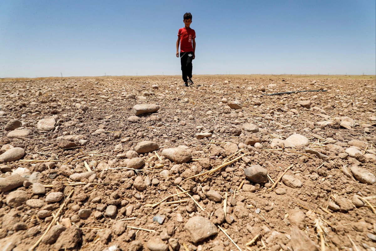 A boy walks through a dried up field in eastern Iraq on June 24, 2021. Reduced agricultural production, water scarcity, rising sea levels and other adverse effects of climate change could cause up to 216 million people to leave their homes and migrate within their own countries by 2050, the World Bank has warned. Photo: AFP