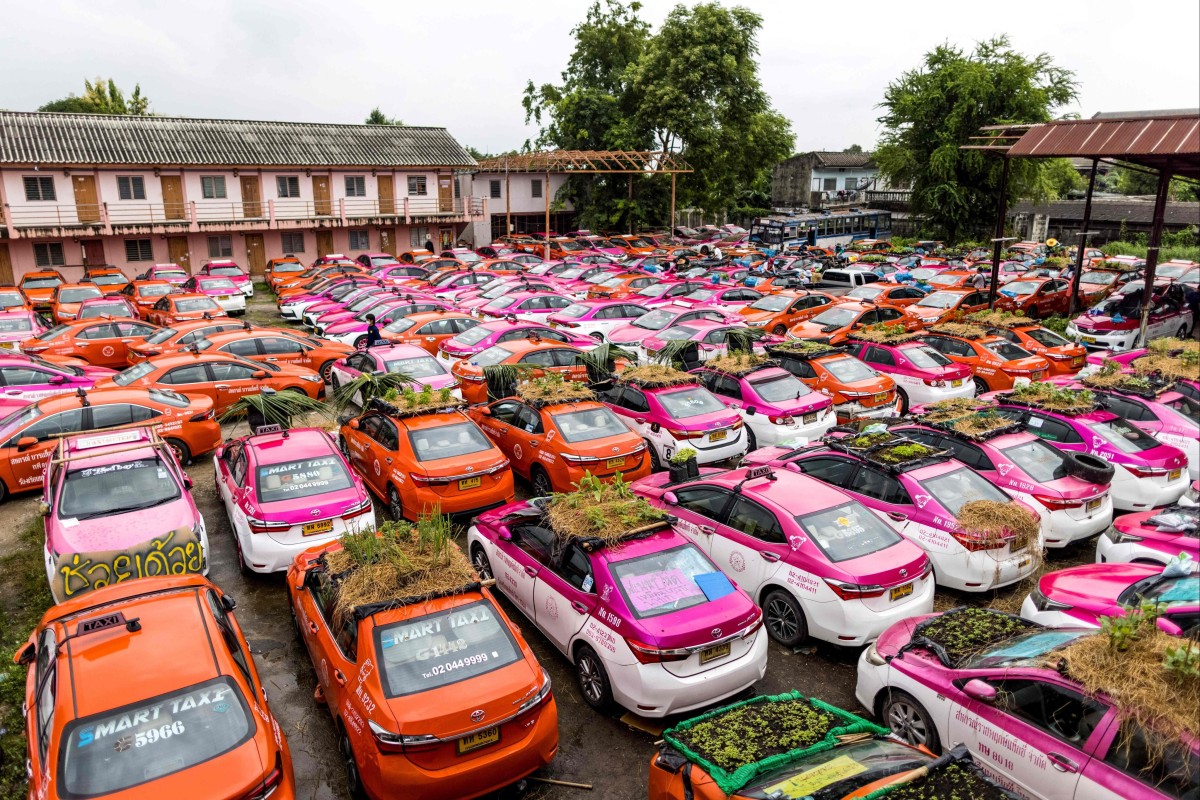 Vegetable gardens grow on the roofs of taxis at a rental garage in Bangkok. The cars are currently out of service due to the coronavirus pandemic. Photo: AFP
