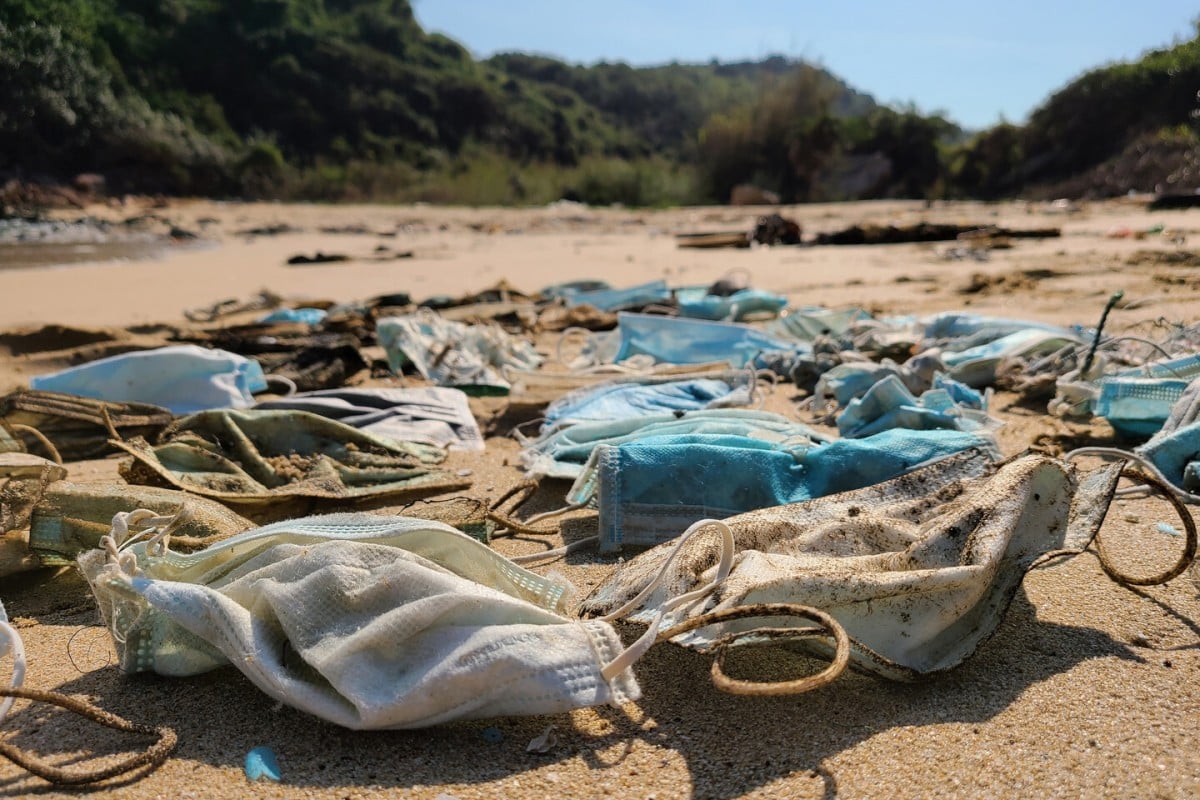 The coronavirus pandemic has also had an impact on the environment. Photo: Courtesy of OceansAsia